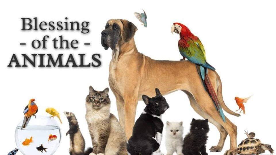 Blessing of the Animals Oct 9